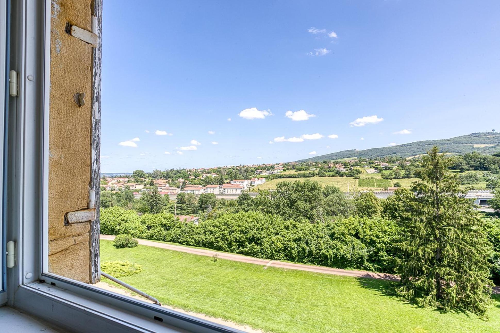 Sejourner Au Chateau De La Roue Grand Appartement Lissieu Exterior foto