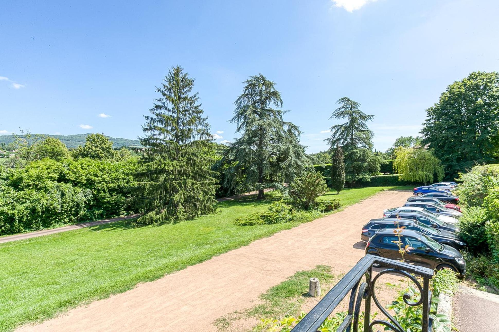 Sejourner Au Chateau De La Roue Grand Appartement Lissieu Exterior foto